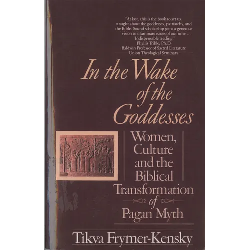 In the Wake of the Goddesses - Paperback