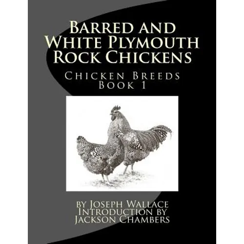 Barred and White Plymouth Rock Chickens - Paperback