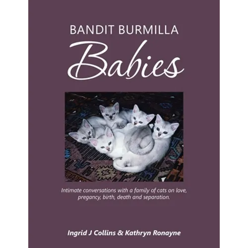 Bandit Burmilla Babies: Intimate Conversations with a Family of Cats on Love, Pregancy, Birth, Death and Separation. - Paperback