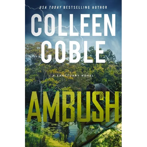 Ambush: A Small-Town Romantic Suspense - Paperback