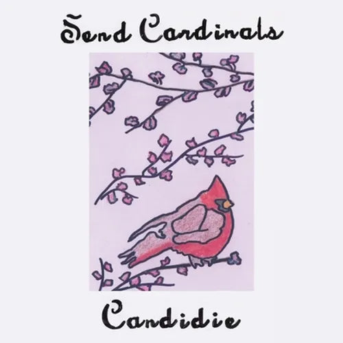 Send Cardinals - Paperback