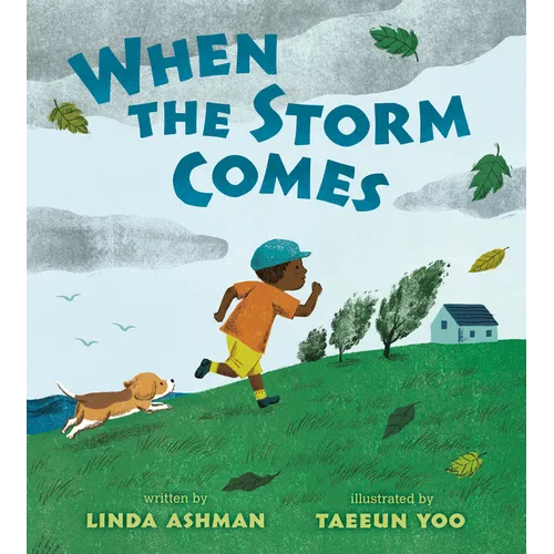 When the Storm Comes - Hardcover