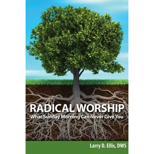 Radical Worship: What Sunday Morning Can Never Give You - Paperback