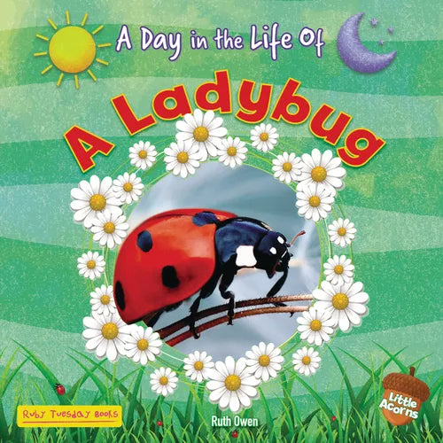 A Ladybug - Paperback