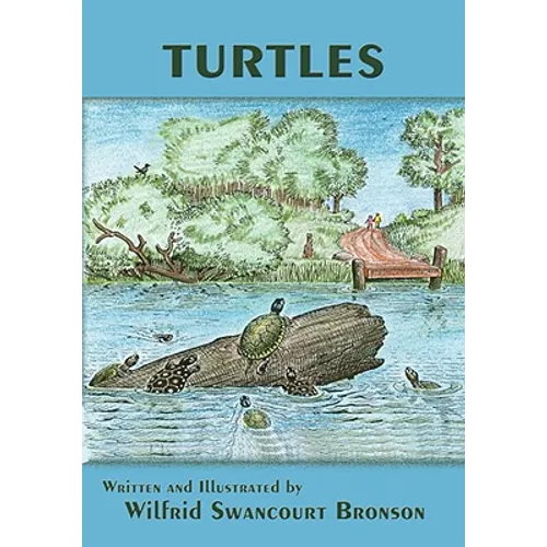 Turtles - Paperback