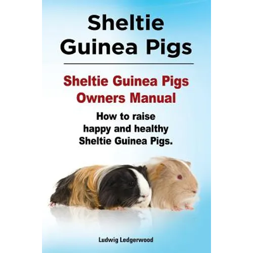 Sheltie Guinea Pigs. Sheltie Guinea Pigs Owners Manual. How to raise happy and healthy Sheltie Guinea Pigs. - Paperback