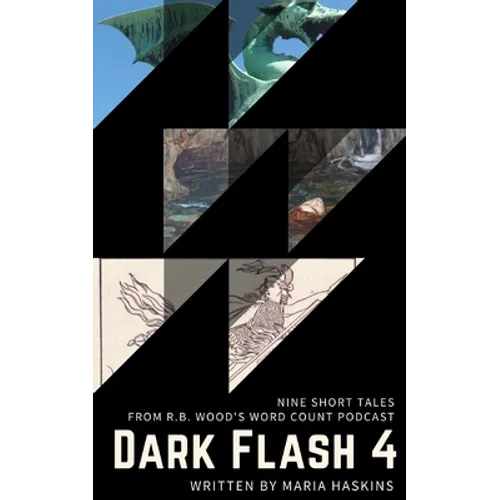 Dark Flash 4 - Paperback
