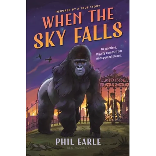 When the Sky Falls - Hardcover