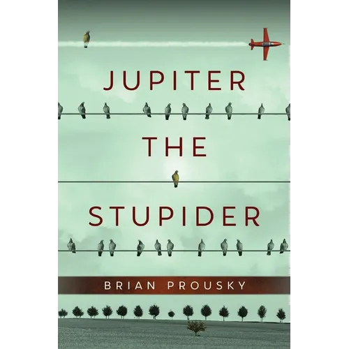 Jupiter the Stupider - Paperback