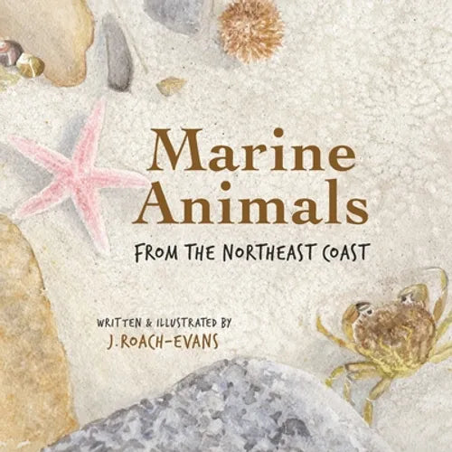 Marine Animals: from the Northeast Coast - Paperback