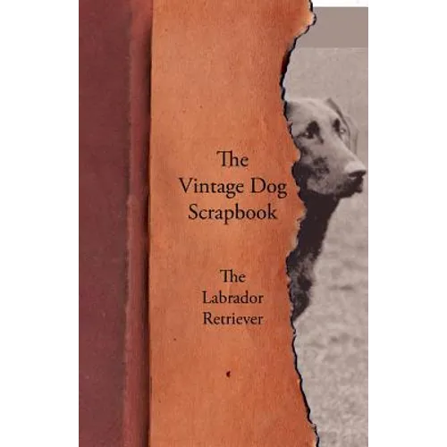 The Vintage Dog Scrapbook - The Labrador Retriever - Paperback