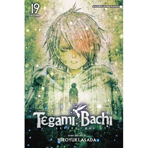 Tegami Bachi, Vol. 19 - Paperback