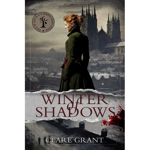 The Winter of Shadows - Hardcover