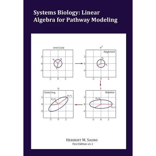 Systems Biology: Linear Algebra for Pathway Modeling - Paperback
