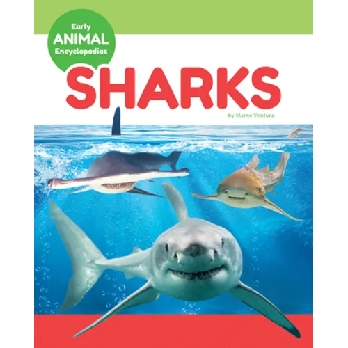 Sharks - Library Binding