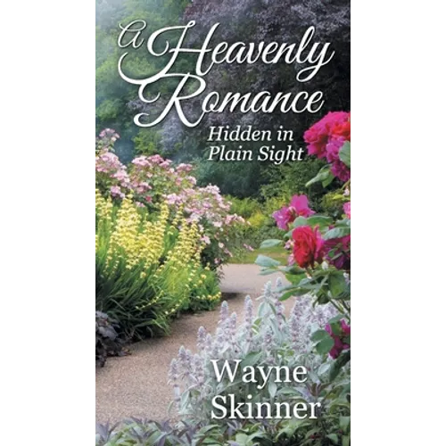 A Heavenly Romance: Hidden in Plain Sight - Paperback