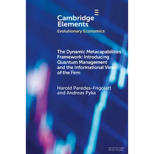 The Dynamic Metacapabilities Framework - Paperback