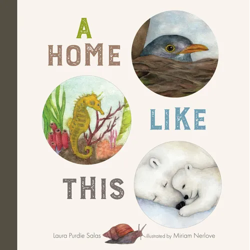 A Home Like This - Board Book