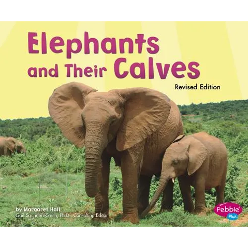 Elephants and Their Calves - Paperback