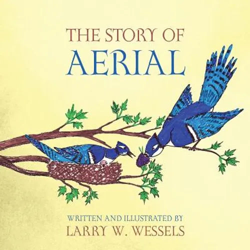 The Story of Aerial - Paperback