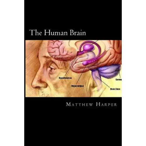 The Human Brain: A Fascinating Book Containing Human Brain Facts, Trivia, Images & Memory Recall Quiz: Suitable for Adults & Children - Paperback