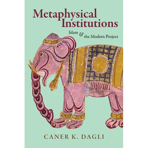Metaphysical Institutions: Islam and the Modern Project - Hardcover