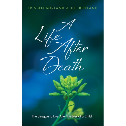 A Life After Death: The Struggle to Live After the Loss of a Child - Hardcover