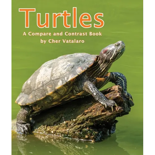Turtles: A Compare and Contrast Book - Paperback