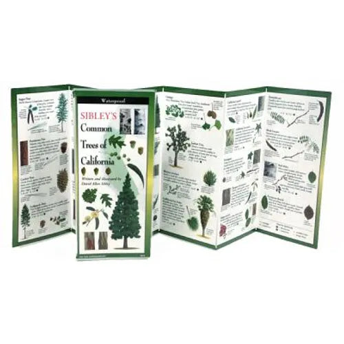 Sibley's Trees of California
