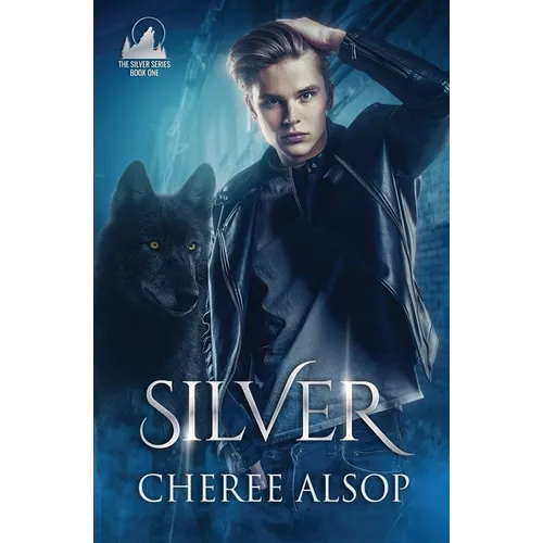 Silver: The Silver Series Book 1 - Paperback