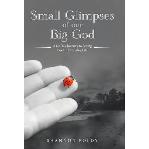 Small Glimpses of Our Big God: A 60 Day Journey to Seeing God in Everyday Life - Hardcover