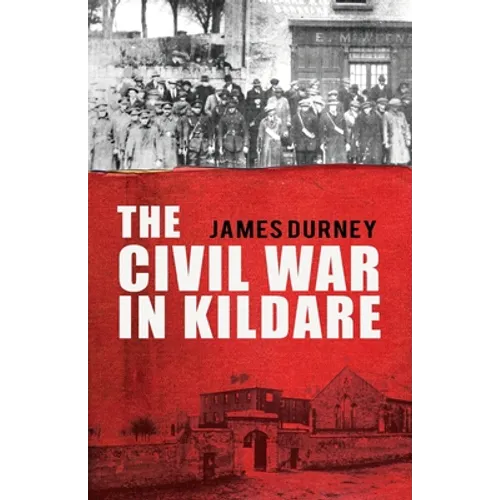 The Civil War in Kildare - Paperback