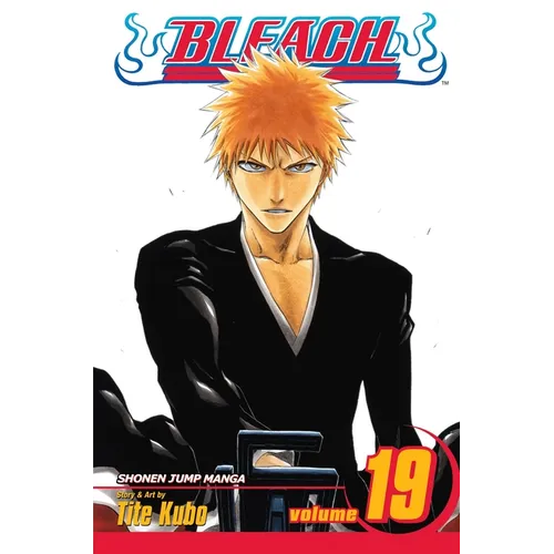 Bleach, Vol. 19 - Paperback