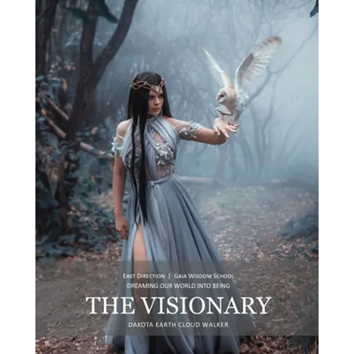 The Visionary: Dreaming Our World Into Being - Paperback