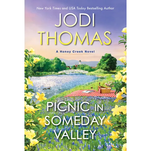 Picnic in Someday Valley - Paperback