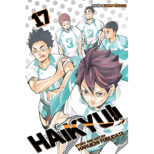 Haikyu!!, Vol. 17 - Paperback