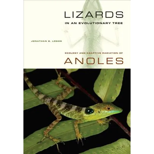 Lizards in an Evolutionary Tree: Ecology and Adaptive Radiation of Anoles Volume 10 - Paperback