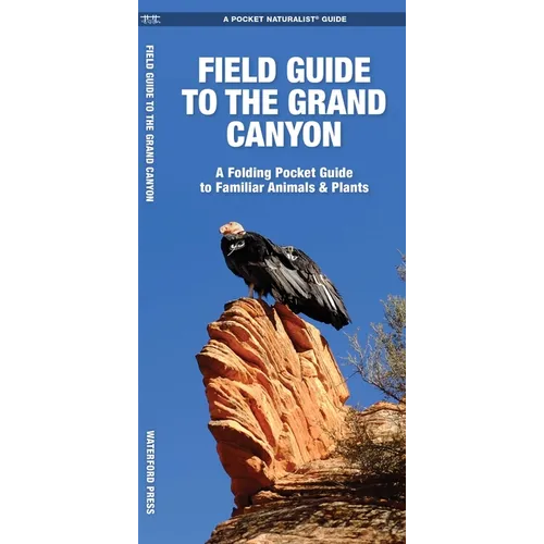 Field Guide to the Grand Canyon: A Folding Pocket Guide to Familiar Plants & Animals - Paperback