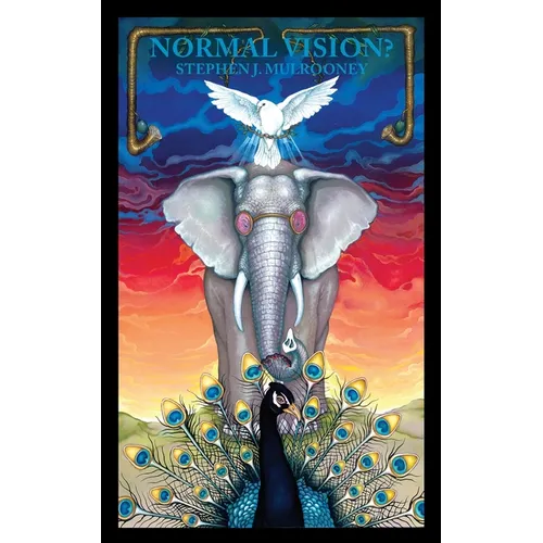 Normal Vision? - Paperback