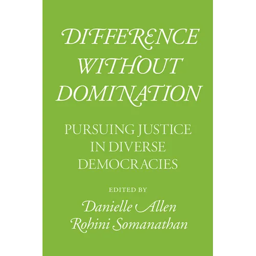 Difference without Domination: Pursuing Justice in Diverse Democracies - Paperback