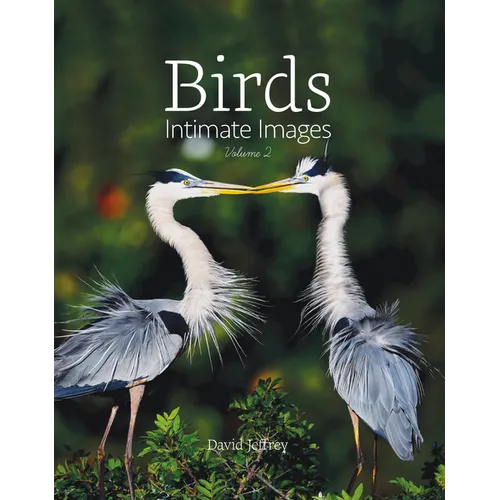 Birds: Intimate Images Volume 2 - Hardcover