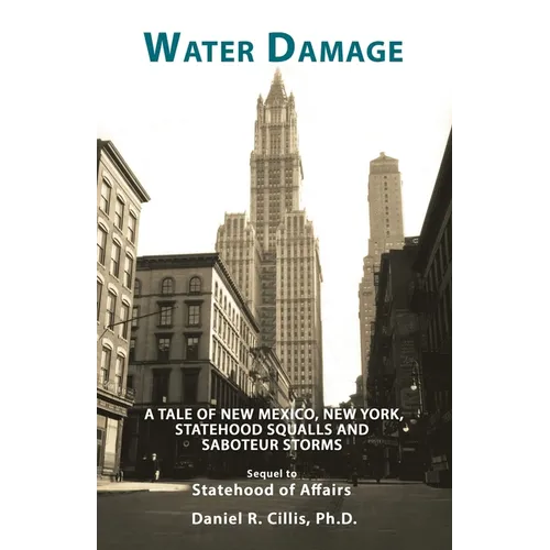 Water Damage: A Tale of New Mexico, New York, Statehood Squalls and Saboteur Storms - Paperback