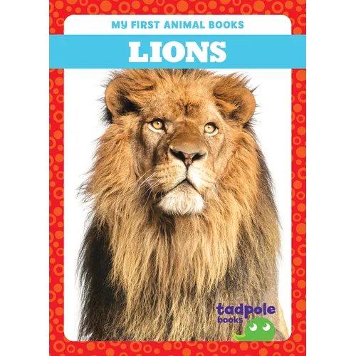 Lions - Library Binding