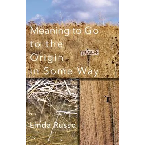 Meaning to Go to the Origin in Some Way - Paperback