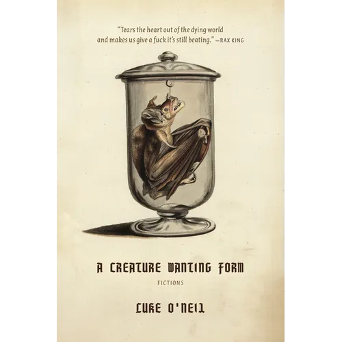 A Creature Wanting Form: Fictions - Paperback