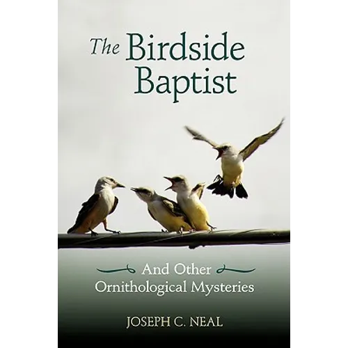 The Birdside Baptist - Paperback