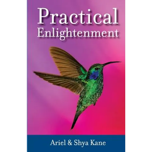 Practical Enlightenment - Paperback