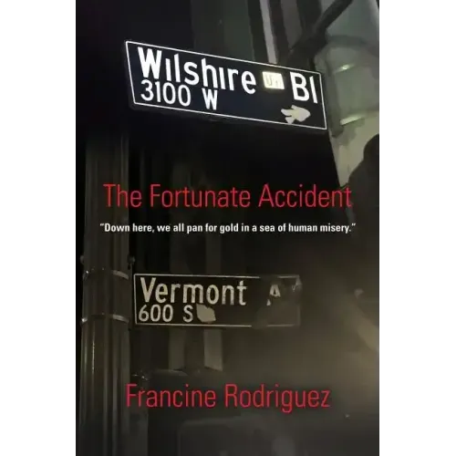 The Fortunate Accident - Paperback
