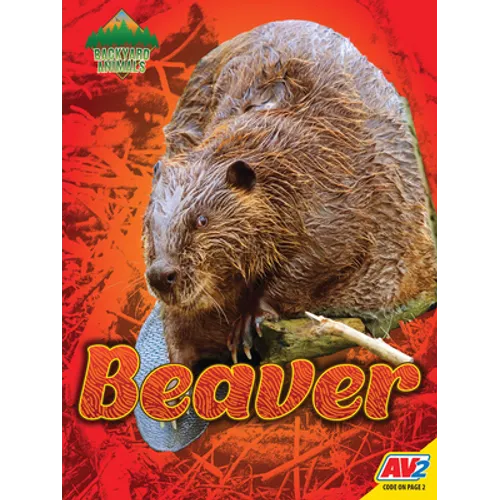 Beaver - Library Binding