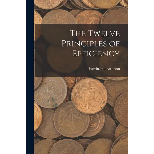 The Twelve Principles of Efficiency - Paperback